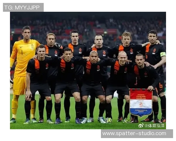 2010年荷兰足球明星的辉煌历程与世界杯征战回顾