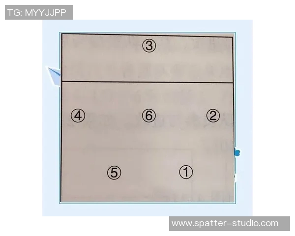 南京排球队中路突破分析与战术调整探讨