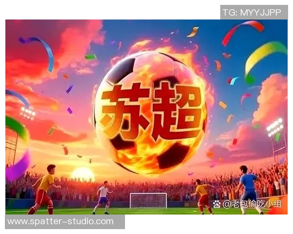 南京排球队技术争议引发热议球迷观点各异讨论激烈