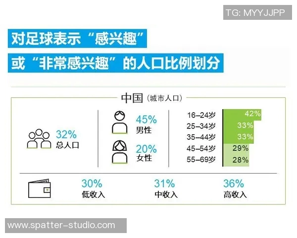 山东足球明星的崛起与发展历程探讨