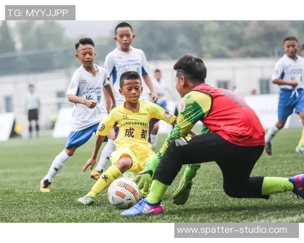 新会足球联携手各界共创足球新未来助力青少年成长与发展